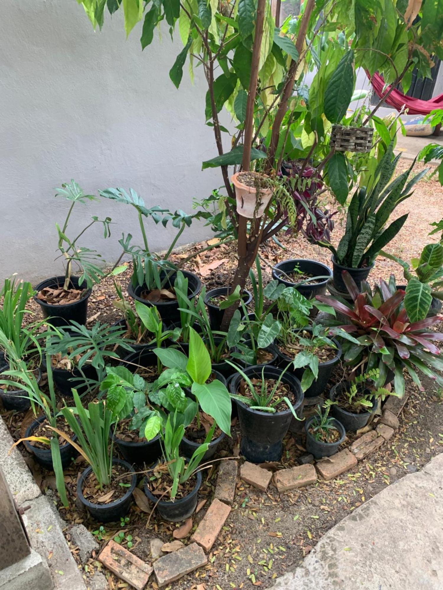 บ้านใจแปงโฮมสเตย์ Ban Jaipang Homestay Pai Exterior foto
